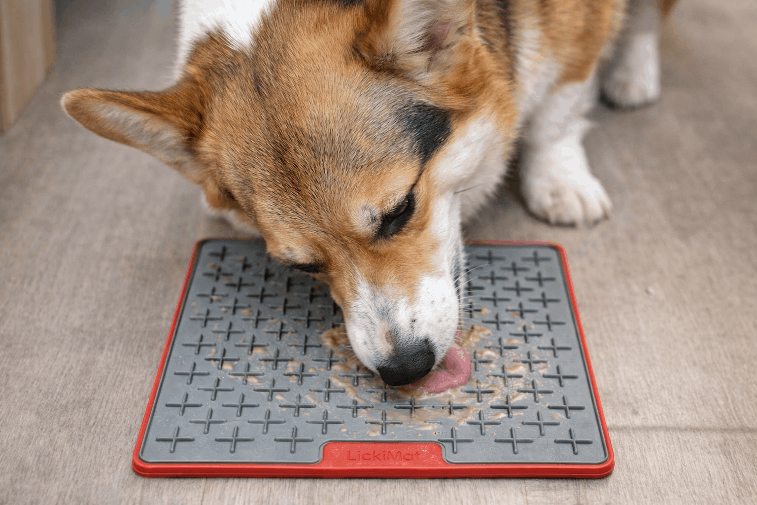 Lízací podložka Buddy TUFF | 20 x 20cm | LickiMat6